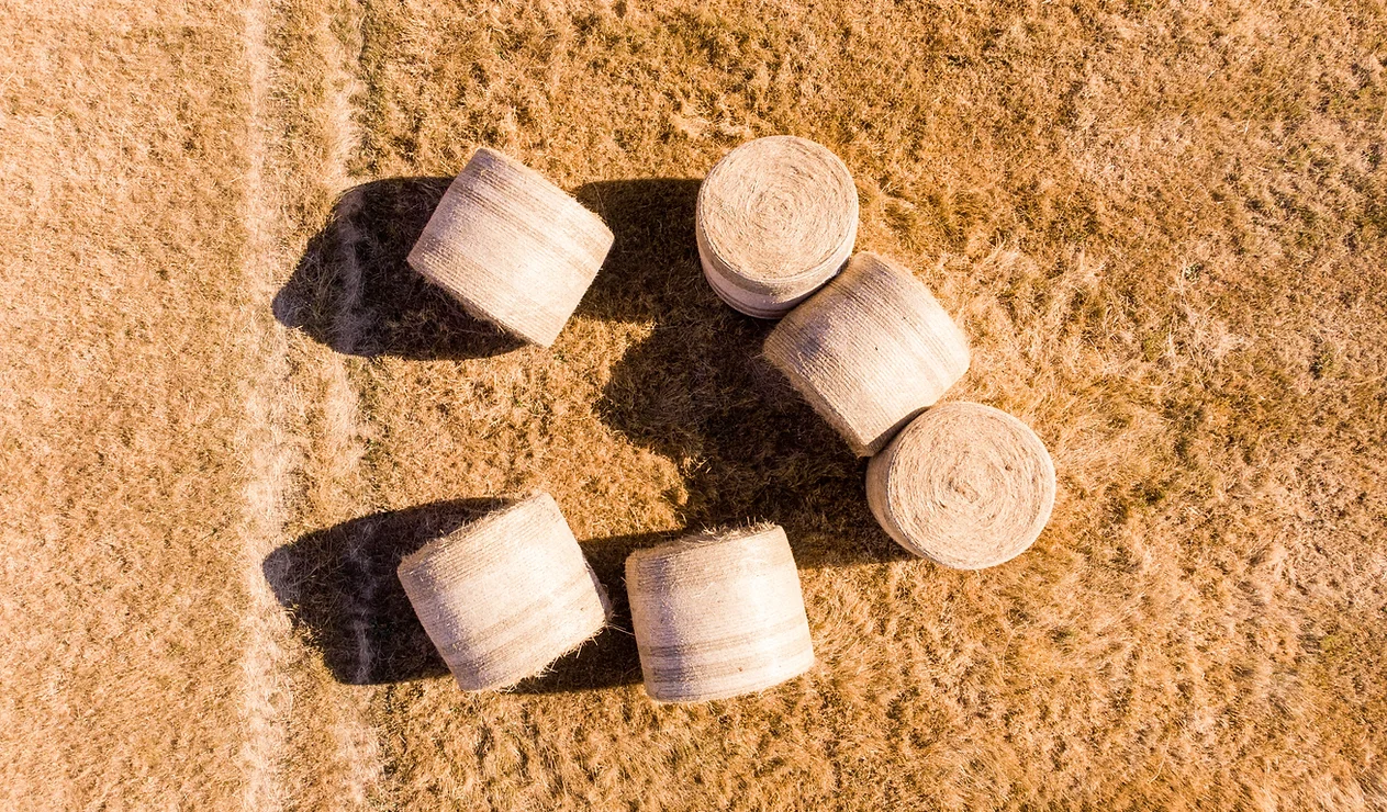 Hay Bales